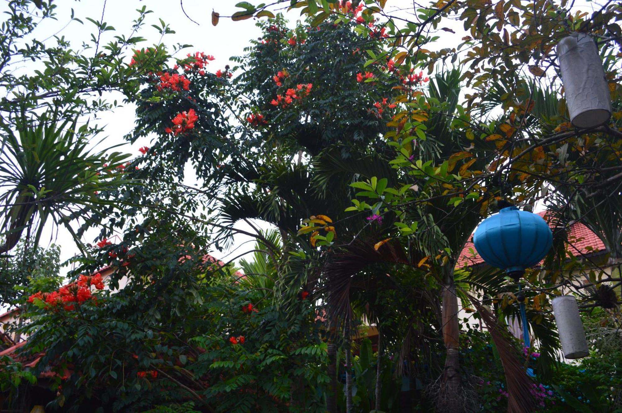 Villa Orchid Garden Riverside Hoi An Exterior foto